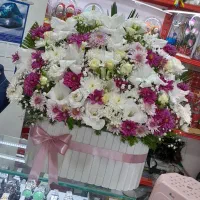 گلسرای محتشم سفارشات پذیرفته میشود|گل و گیاه طبیعی|کوهدشت, |دیوار