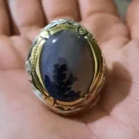 انگشترنقره شجر قائن کلکسیونی سنگین وزن|جواهرات|کرمانشاه, |دیوار