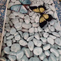 فرش|فرش|مشهد, زمرد|دیوار