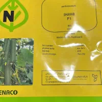 توزیع انواع بذرپیاز گوجه فرنکی هندوانه قیمت تعاونی|خدمات باغبانی و درختکاری|جیرفت, |دیوار