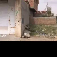 زمین با موقعیت، بر جاده اصلی روستای قانقرمه|فروش زمین و ملک کلنگی|آق قلا, |دیوار