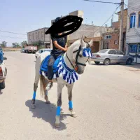 گمشده در محله نیار