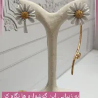 یک ست جذاب تک و زیبا|بدلیجات|اصفهان, درب کوشک|دیوار