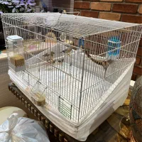 قفس بزرگ خارجی|لوازم جانبی حیوانات|تهران, کاج|دیوار