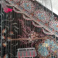 یک قفس درحد نو بزرگ