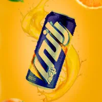 ادیتور و گرافیست خانم،دورکاری