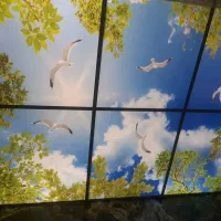 سقف کاذب|خدمات پیشه و مهارت|پاکدشت, پاکدشت (مامازند)|دیوار