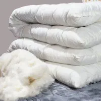 تشک پنبه بومی