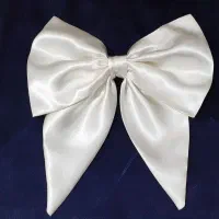 فروش تک و عمده گیره‌موی پاپیونی