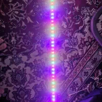 نور حرفه ای ۸۰سانتی|گل و گیاه طبیعی|رشت, منظریه|دیوار