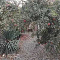 اجاره چهار دیواری با بنای ۴۰متری