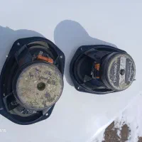 باند پایونر