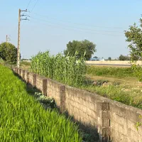 زمین تجاری ۷ هکتاری بر اتوبان کیاکلا به جویبار|فروش دفتر صنعتی، کشاورزی، تجاری|بابل, |دیوار