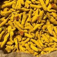 پخش عمده و خرده ادویه جات پودر و قلم و لوازم قنادی