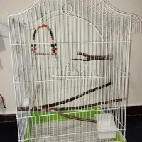 قفس پرنده