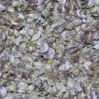 خوراک دام وطیور پوشال سیر