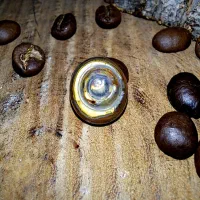 نگین انگشتر ومهره|کلکسیون اشیاء عتیقه|حمیدیه, |دیوار