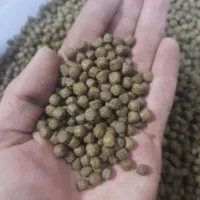 غذای ماهی کپور و امور و قزل
