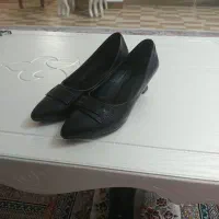 کفش شیک