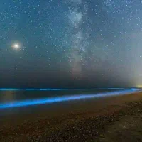 تور ویژه قشم