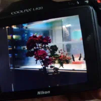 کرایه دوربین عکاسی