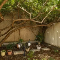 ۲۶۰ متر بنا با حیاط اختصاصی بزرگ / حوالی پارک ساعی