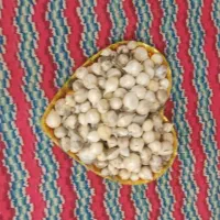 موسیر بذری|گل و گیاه طبیعی|اصفهان, محمودآباد|دیوار