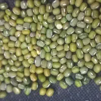 ماش سبز درجه ک