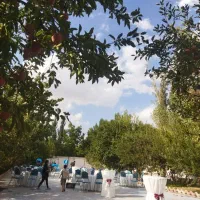 تالار فضای باز