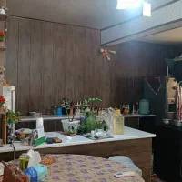 فروش خانه ویلایی در بلوار رحمت|فروش خانه و ویلا|شیراز, تندگویان|دیوار