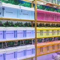 آکواریوم ساحل