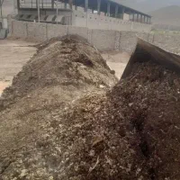 کود مرغ گوشتی