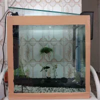 آکواریم دارای بیش از27ماهی وگیاه معاوضه باپرنده