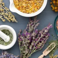 دیجیتال مارکتینگ حوزه طب سنتی