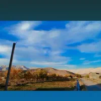 فروش ویژه باغ|فروش خانه و ویلا|نیشابور, مازول|دیوار