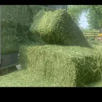 پرس یونجه درجه یک