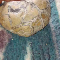 سنگ زینتی|جواهرات|آشخانه, |دیوار