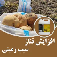کود مایع وارداتی درشت کننده غده سیب زمینی|خدمات باغبانی و درختکاری|کرمانشاه, |دیوار