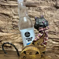 جای بطری خارجی