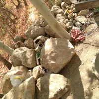 نصیر رحیمی|خدمات پیشه و مهارت|قزوین, |دیوار