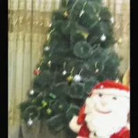 درخت کریسمس و بابانوئل|گل مصنوعی|شاندیز, |دیوار