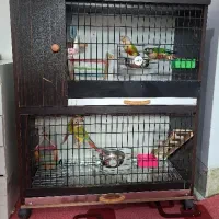 قفس پرنده دو طبقه