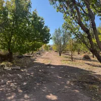 باغ واقع در جلفا|فروش زمین و ملک کلنگی|جلفا, |دیوار