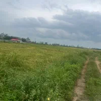 زمین فروشی /فلکه رازی/فلکده /تهاتر /سنددار|فروش زمین و ملک کلنگی|رشت, نظری|دیوار