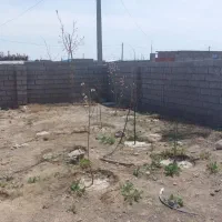 زمین-فروشی-هماشهر