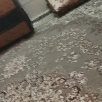 هم خونه