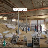 فروش فوری دامداری صنعتی باغ مرکبات|فروش دفتر صنعتی، کشاورزی، تجاری|لالی, |دیوار