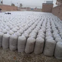 تفاله‌چغندرتر قندی