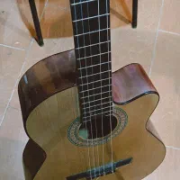 گیتار درجه یک (شوش دانیال) ارسال سراسر کشور|گیتار، بیس، امپلیفایر|بندر ماهشهر, |دیوار