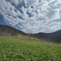 زمین کوهستانی و ییلاقی داخل بافت روستای غریب آباد|فروش زمین و ملک کلنگی|فاضل آباد, |دیوار